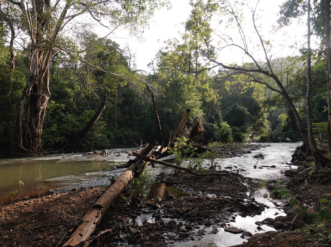 Banlung Nature Trekking Tours-邦隆必去景点