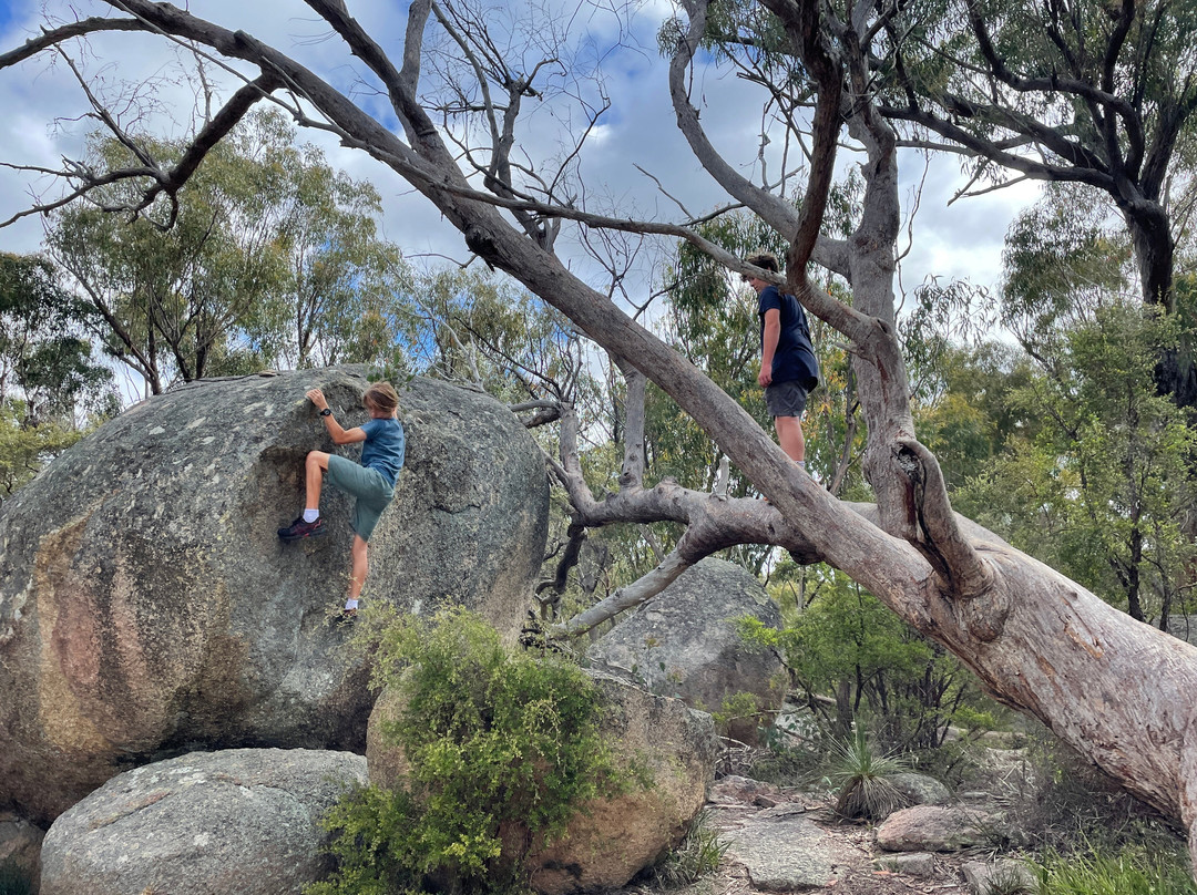 Wilderness and Wine Tours-Glen Aplin必去景点