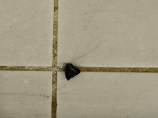 奇夫利卧龙岗酒店主图