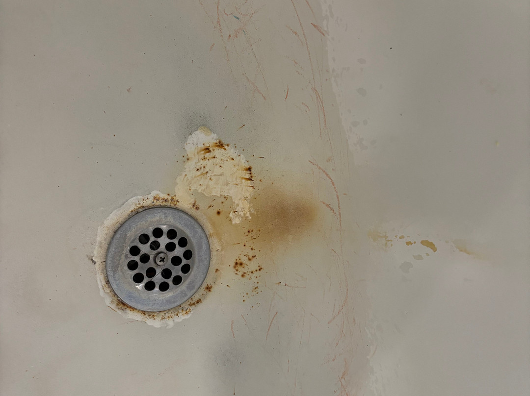 La Quinta Inn & Suites by Wyndham Mathis主图