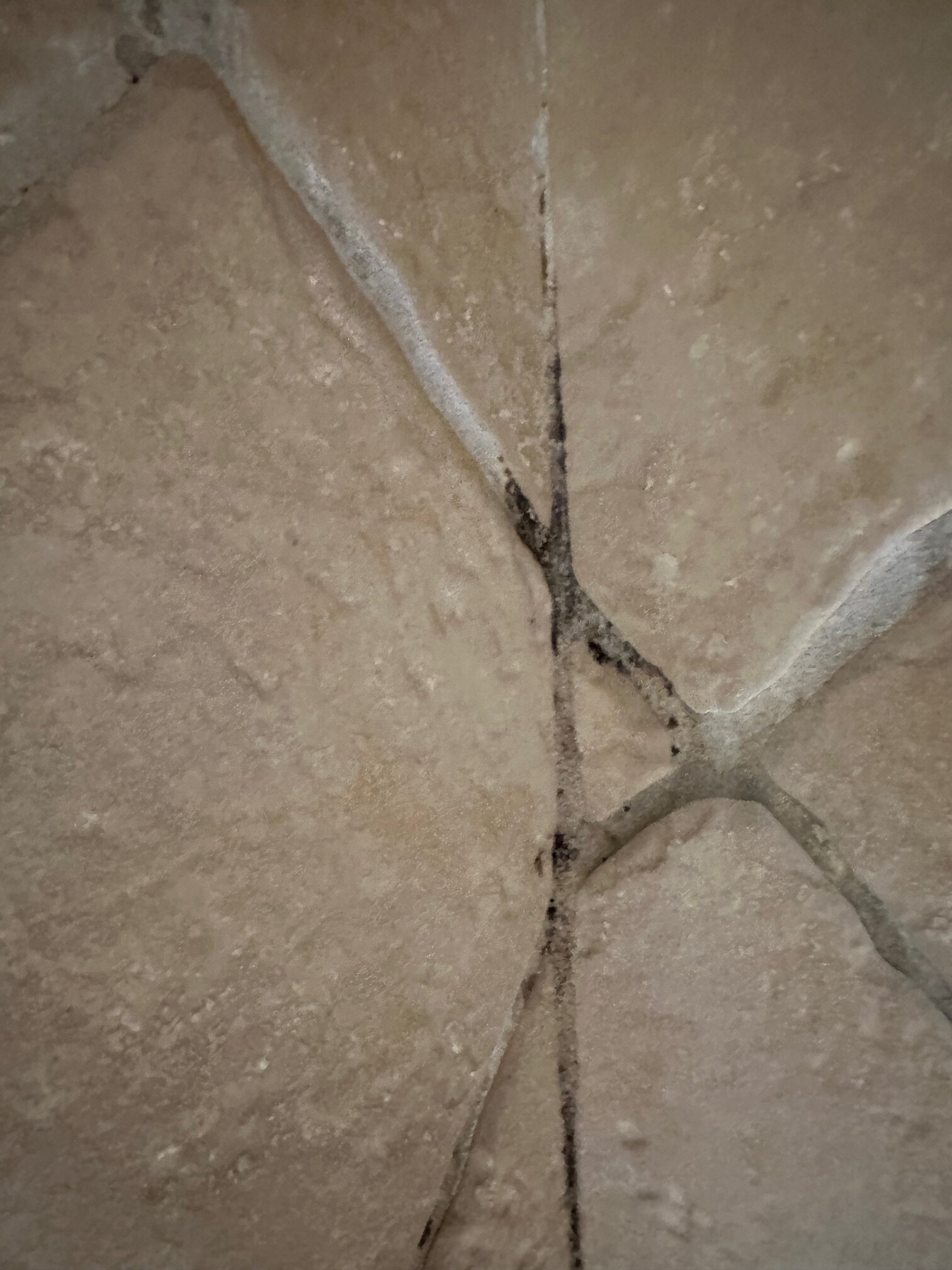 Auberge du Manoir-浴室