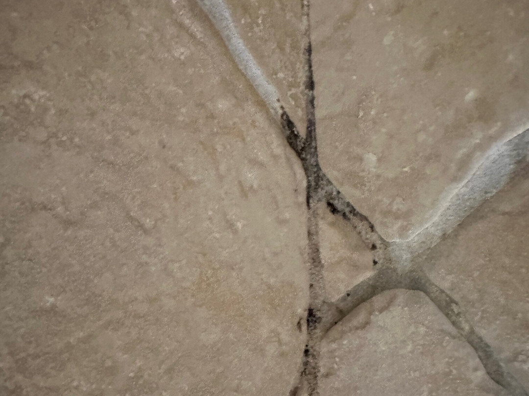 Auberge du Manoir主图