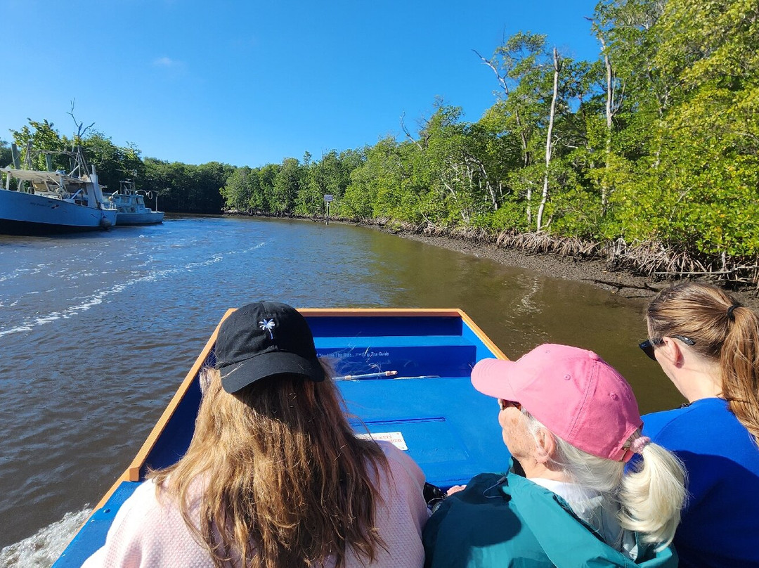 Everglades City Airboat Tours-大沼泽地必去景点