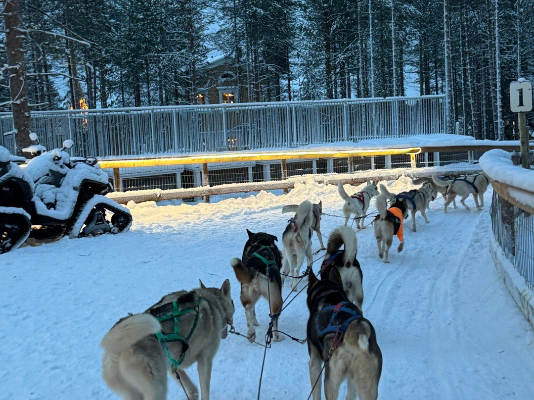 Arctic Circle Husky Park-罗瓦涅米必去景点