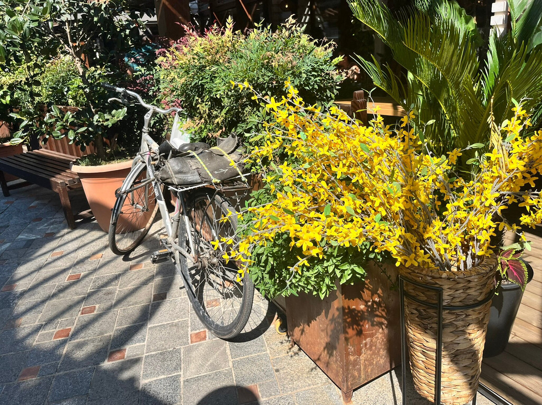 Fortress of Justinian-地拉那必去景点