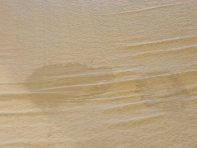 阿尔西德酒店-官方