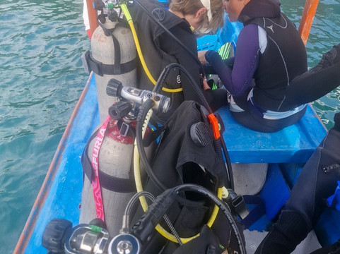 Nico Dives Cool - Day Tours-沙努尔必去景点