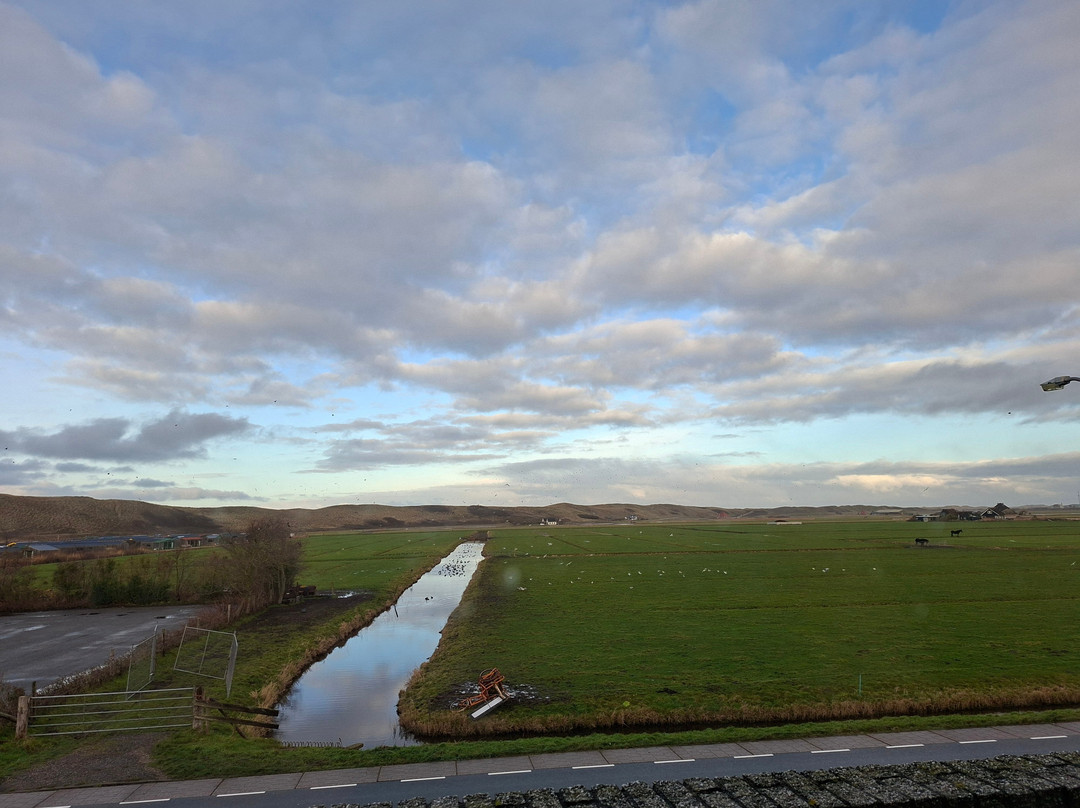 郁金香假日旅馆主图