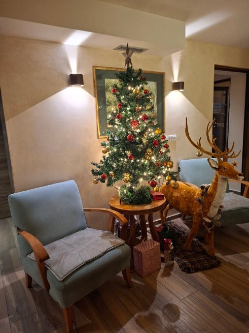 Hotel Borkovac-官方