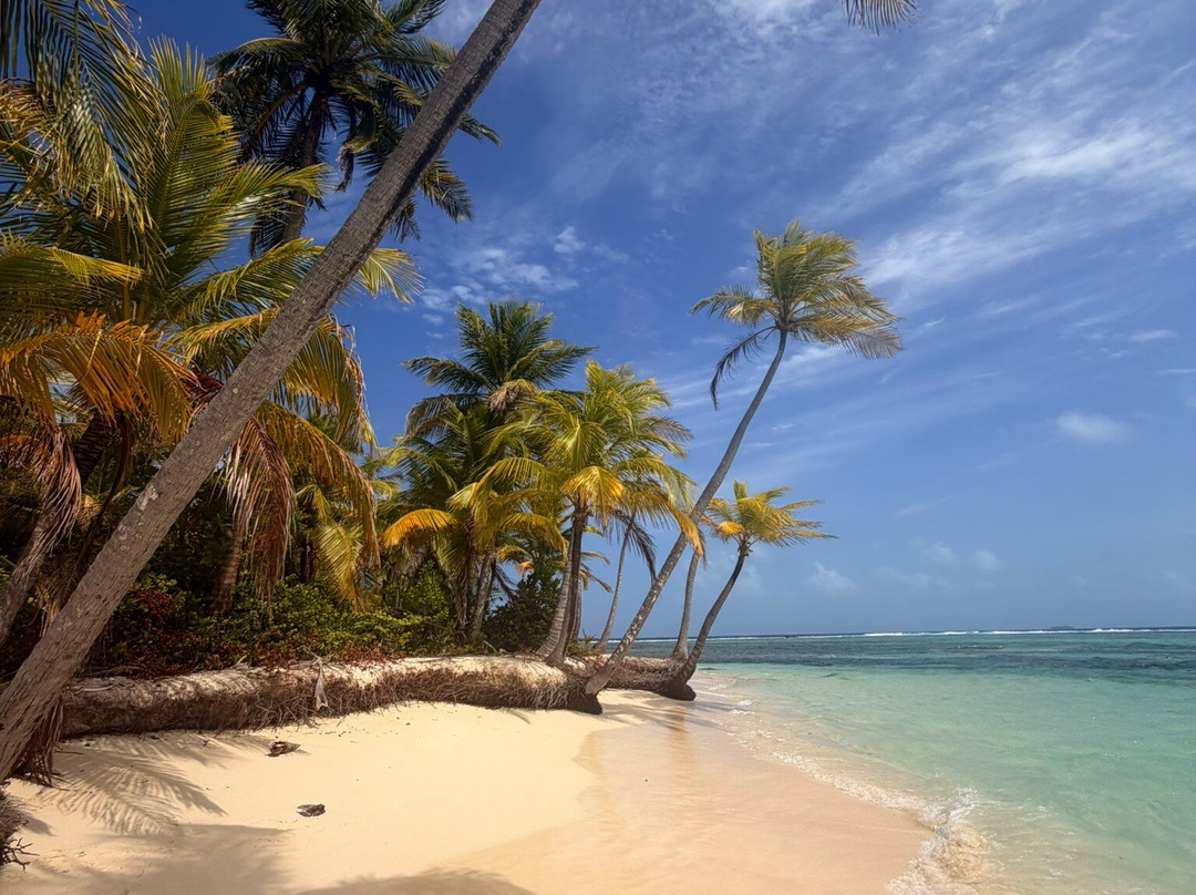 Flying Ginny Catamaran Charter-埃尔波韦尼尔必去景点