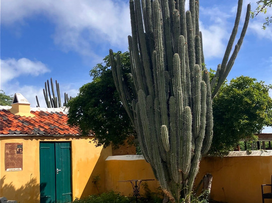 Savonet Museum-Christoffel National Park必去景点