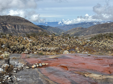 Colombia Oculta-波哥大必去景点