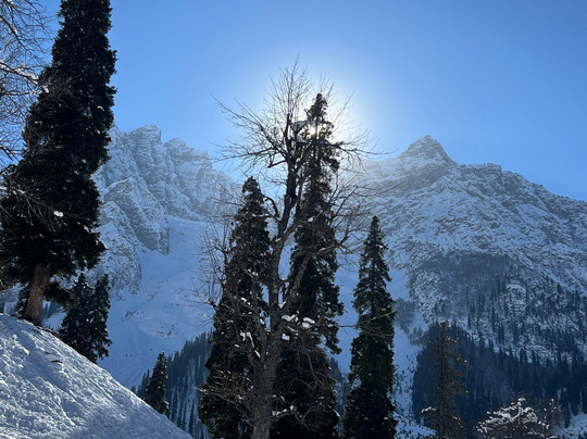 Sunway Kashmir Tour & Travels-斯利那加必去景点