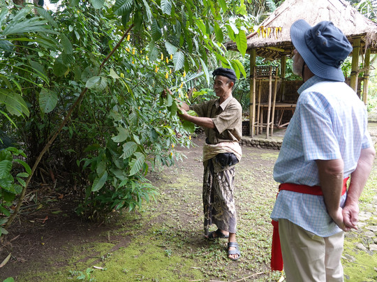 Samsara Living Museum-Jungutan必去景点