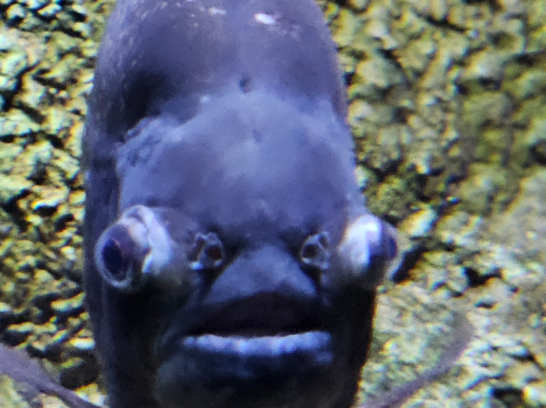 The Deep-赫尔河畔金斯顿必去景点