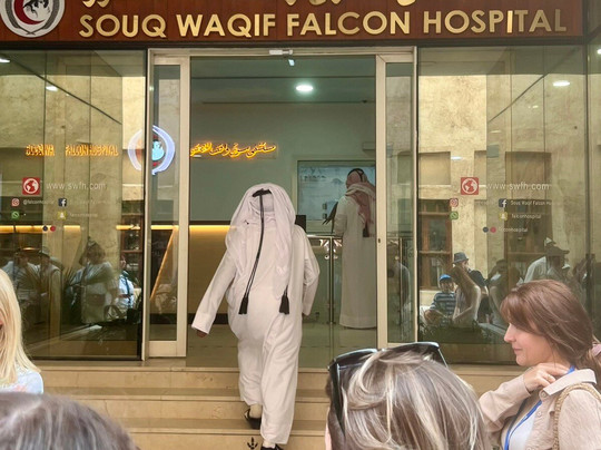 Souq Waqif Falcon Hospital-多哈必去景点