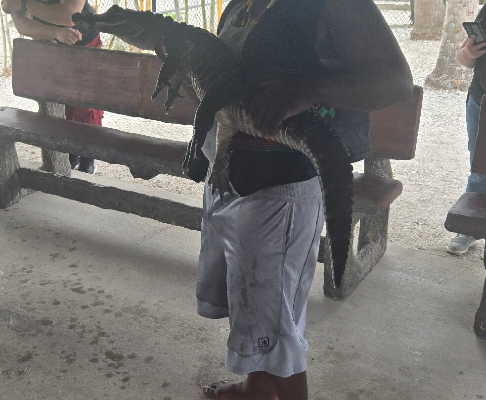 Captain Jack's Airboat Tours-大沼泽地必去景点