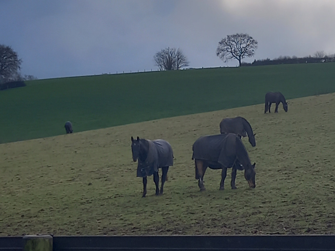 St Botolph Church-海威科姆必去景点