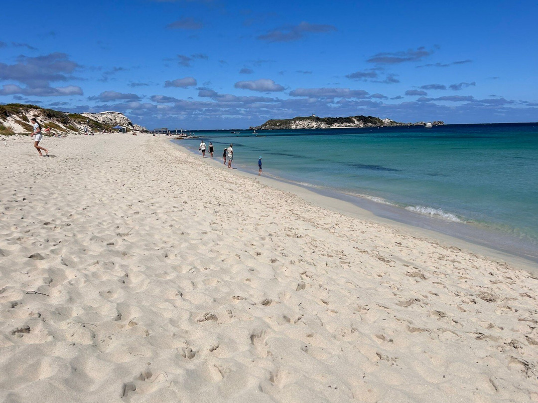 Hamelin Bay Jetty-Hamelin Bay必去景点