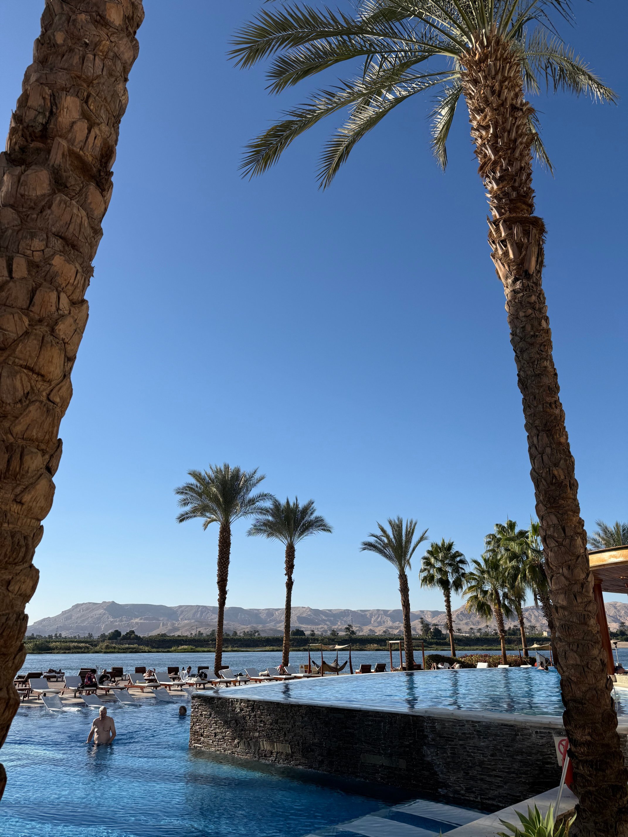 希尔顿卢克索度假村-泳池