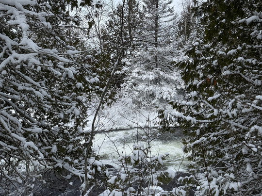 Piragis Northwoods Company-伊利必去景点