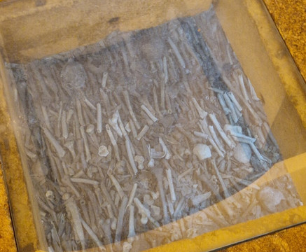 圣弗朗西斯科教堂-波尔图必去景点