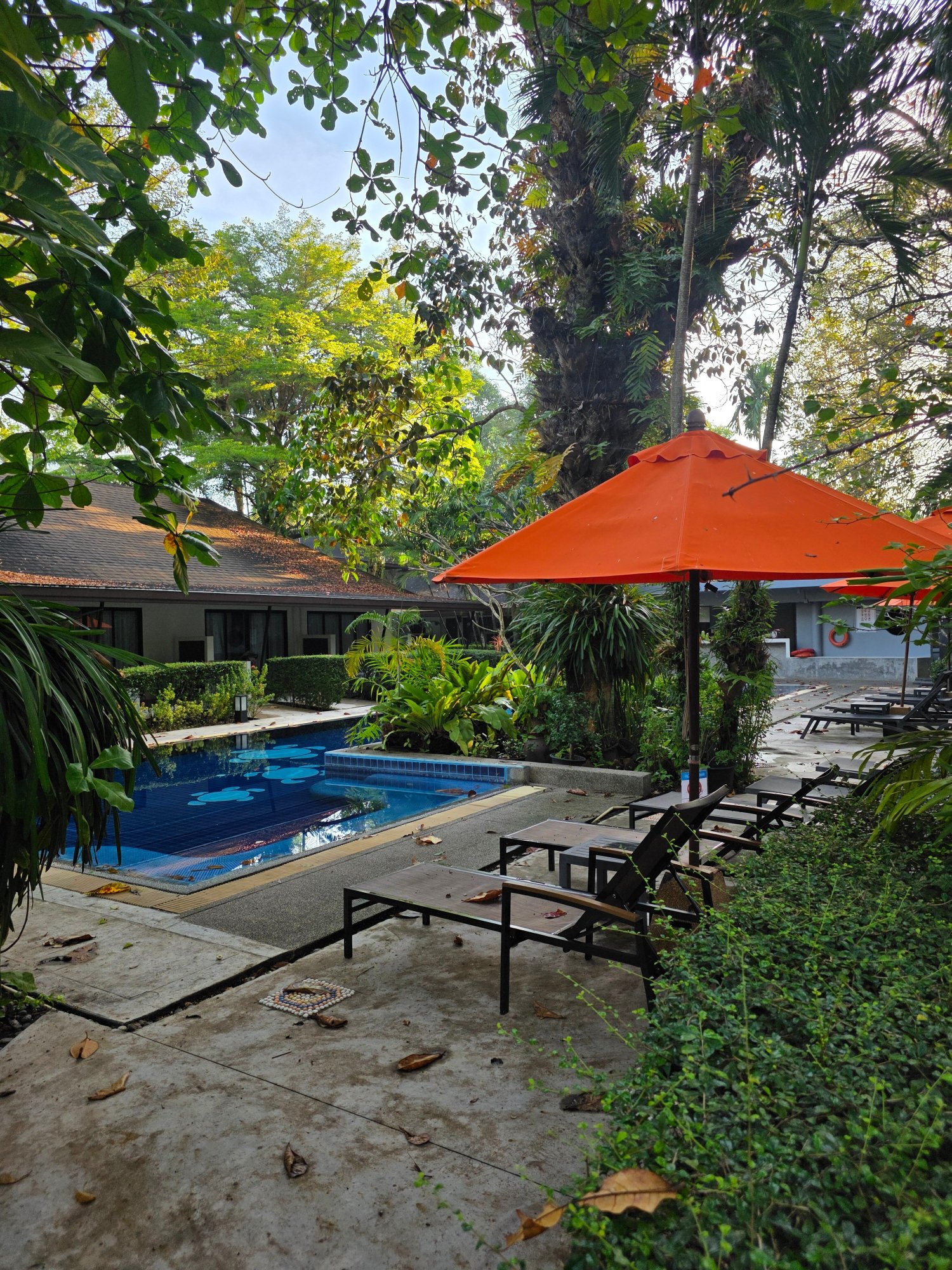 奈阳海滩度假村-泳池