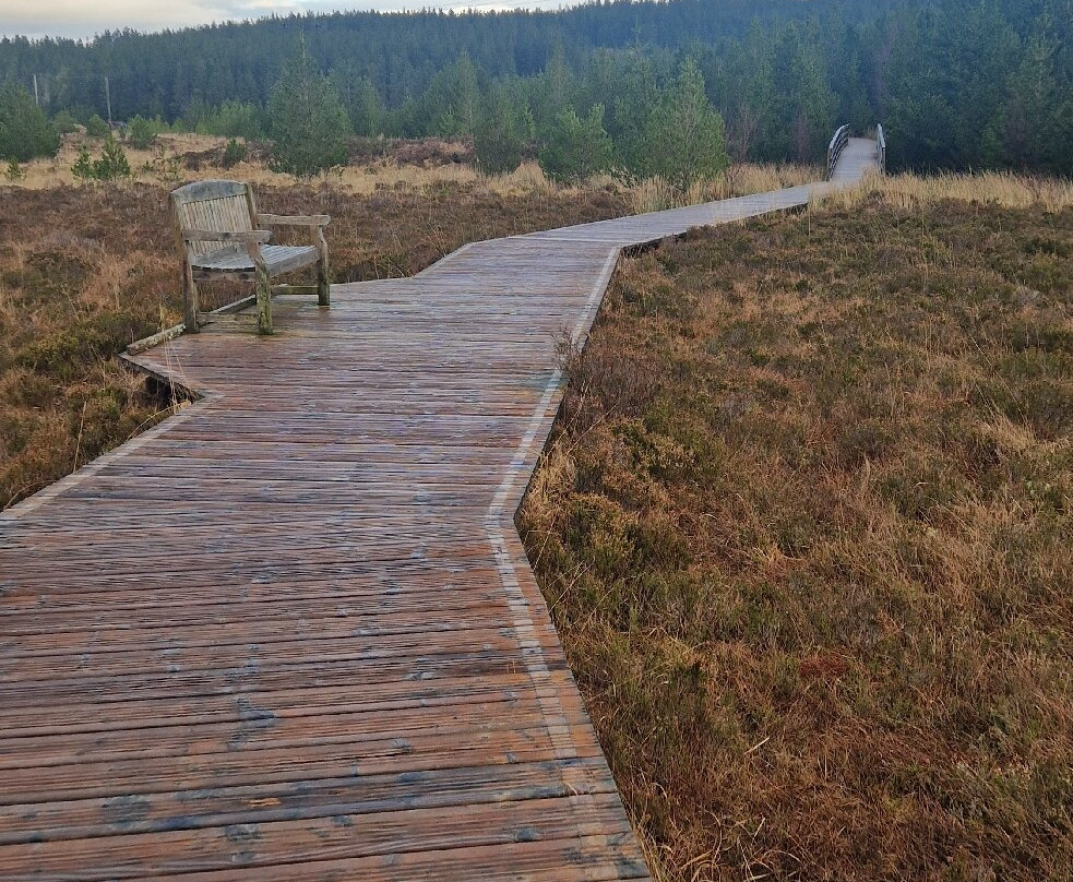 Aline Community Woodland Walks-斯托诺韦必去景点