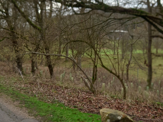 Watlington Hill-Watlington必去景点