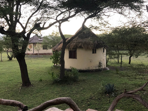 Lake Natron Maasai Giraffe Eco Lodge and Camping主图