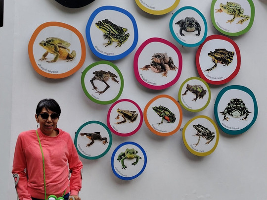 Wikiri Sapoparque-基多必去景点