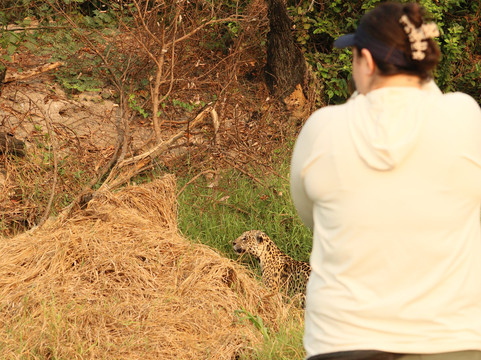 Wildlife Expeditions Of Brazil-Chapada dos Guimaraes必去景点