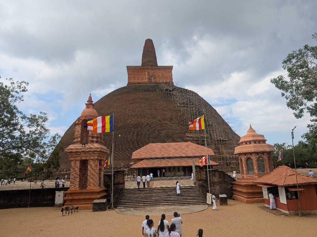 sun cycles work shop and hire-阿努拉德普勒圣城必去景点