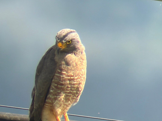 Top Travel Costa Rica-圣何塞必去景点