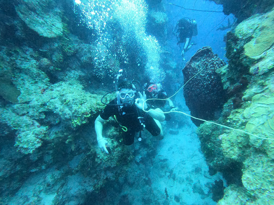 Aqua TCI-普罗维登西亚莱斯必去景点