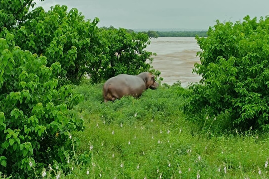 Bushbaby Adventures-伐拉博瓦必去景点