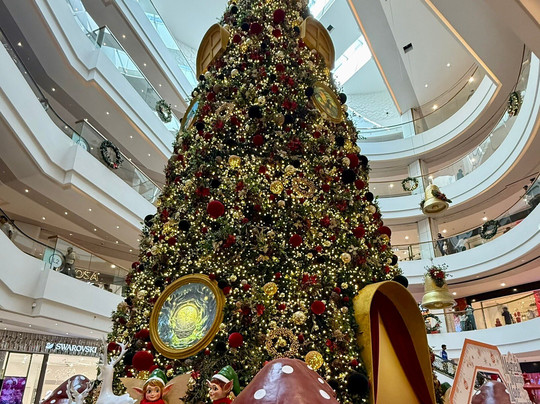 Rangi Tours-瓦都瓦必去景点