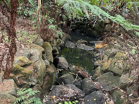 Stringybark Reserve-莱恩科夫必去景点