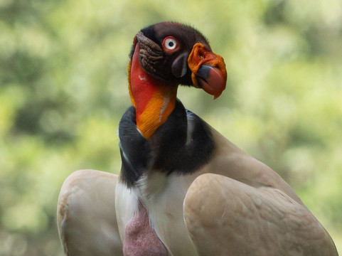 Pizote Tours-Boca Tapada必去景点
