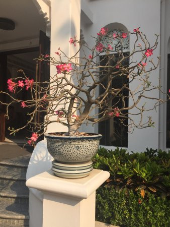 平纳卡拉精品酒店及水疗中心主图