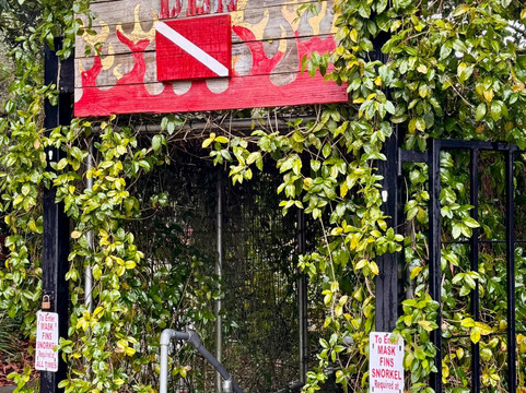 Devil's Den-Williston必去景点