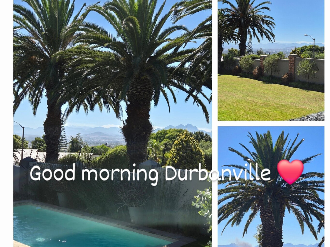 四棕榈树住宿主图