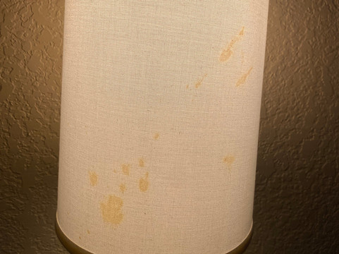 奥卡拉/贝尔维尤舒眠套房酒店主图