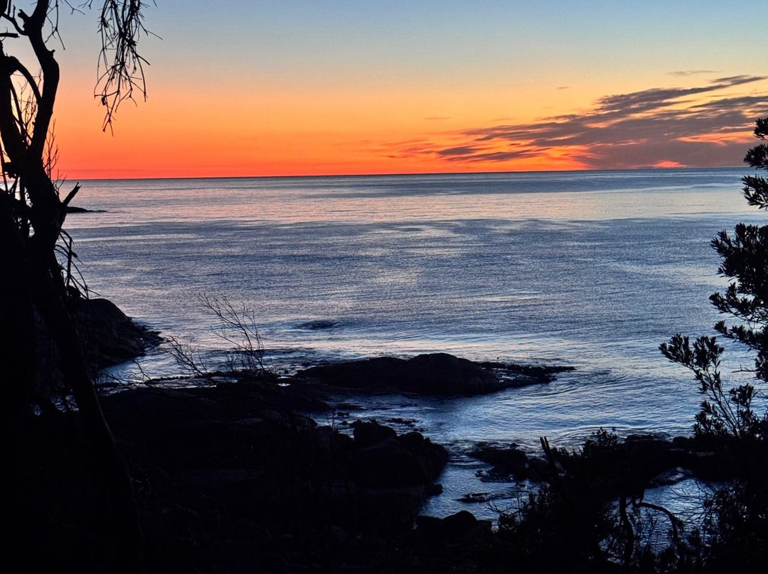 Wild Tasmania Tours-霍巴特必去景点