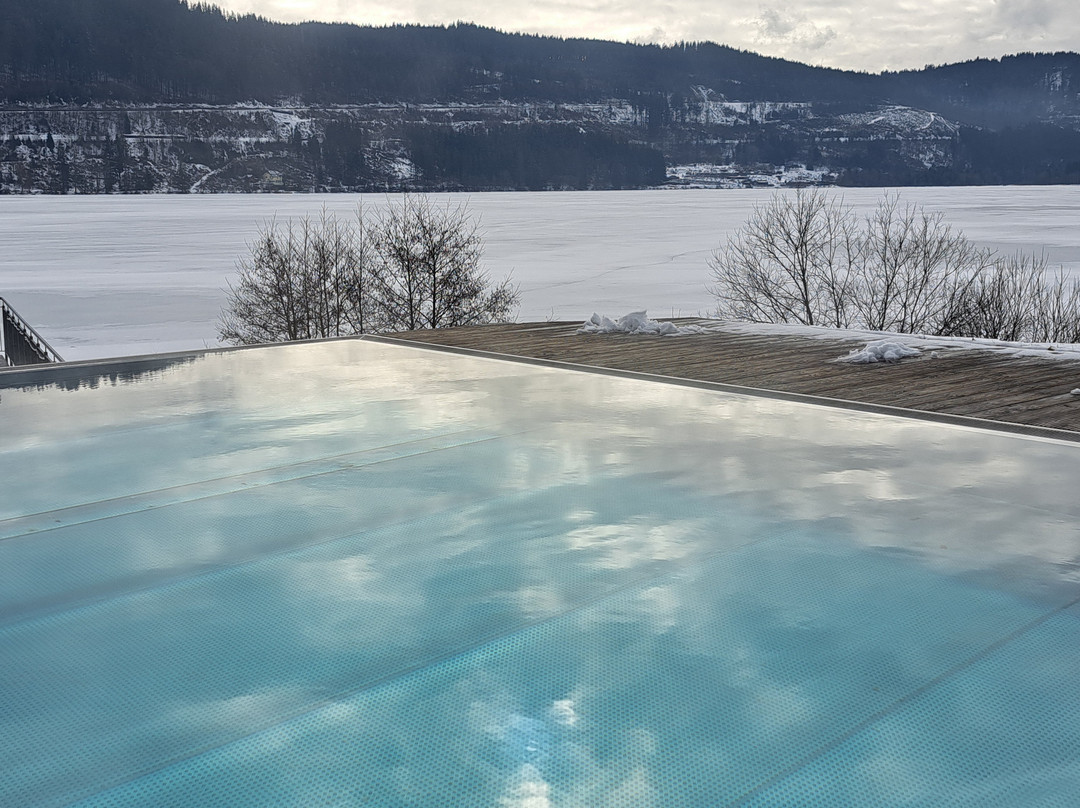 Seehotel Wiesler主图