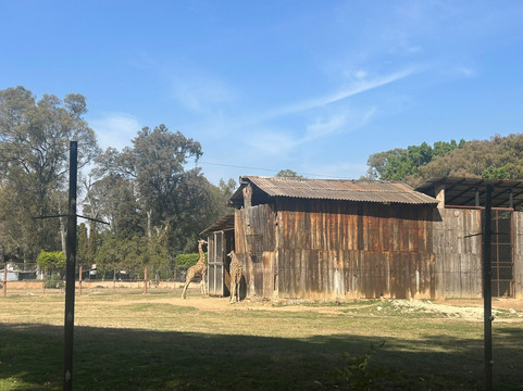 Parque Zoológico Benito Juárez-莫雷利亚必去景点
