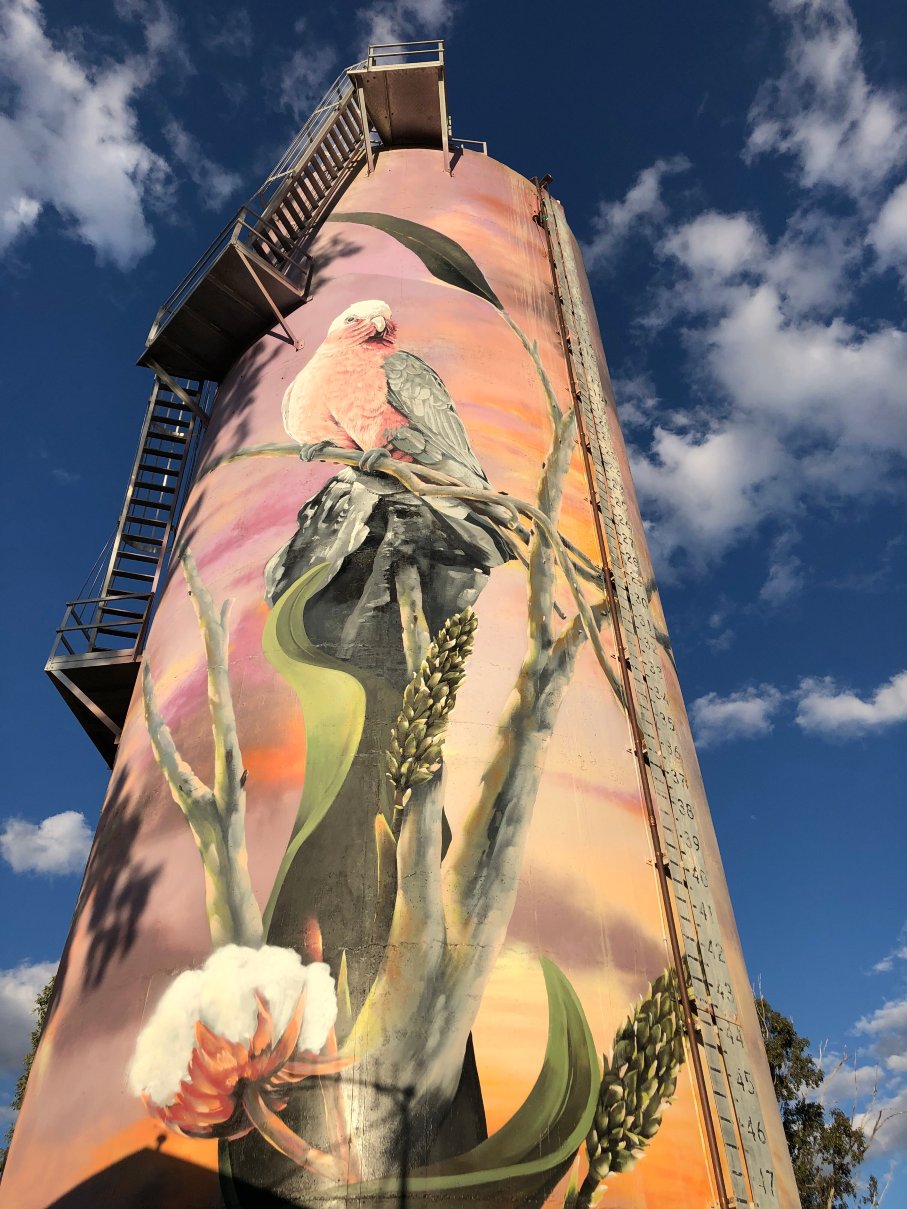 莫拉汽车旅馆-官方