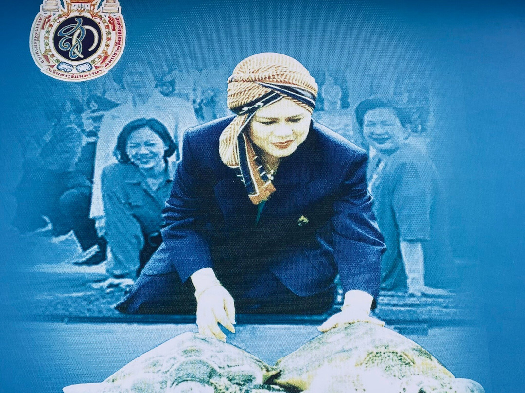 Turtle Conservation Center-泰曼必去景点