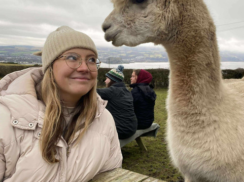 Larch Green Alpacas-格拉斯哥必去景点