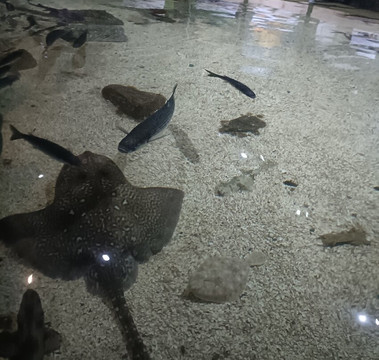 Lake District Coast Aquarium-Maryport必去景点